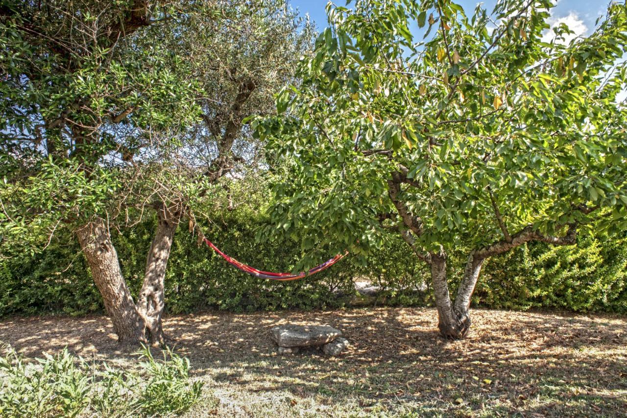 B&B Il Brigante Альберобелло Экстерьер фото